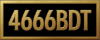 logo 4666BDT
